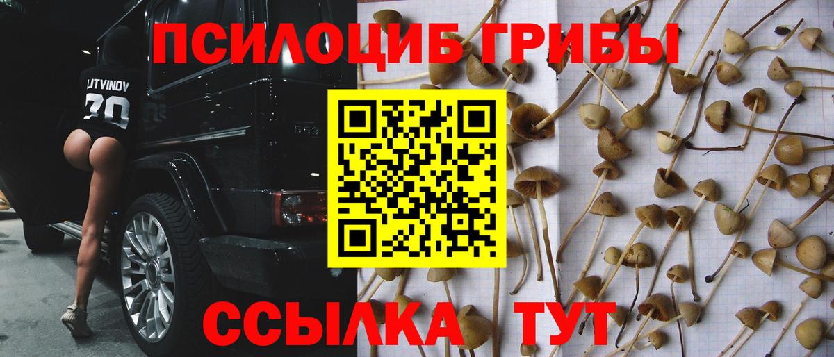 Псилоцибиновые грибы прущие грибы Грозный