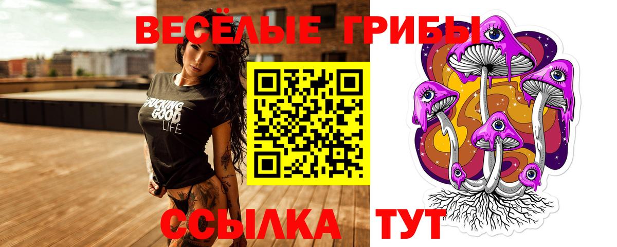 Грозный  Галлюциногенные грибы прущие грибы  Вход с VPN 